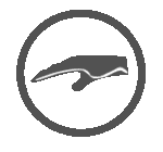 HIGH QUALITY STITCHING